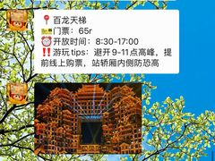 -寨子里的钵钵菜·湘西山里菜(魅力湘西店)