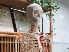 -杏林康桥中医正骨·体态矫正·跌打损伤·推拿按摩(国贸建外SOHO店)