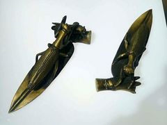 -上海昆虫博物馆