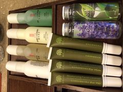 -台北北投丽禧温泉酒店