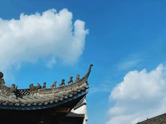 -宁波杭州湾国家湿地公园