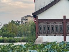 -鲁镇