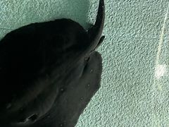 -上海海洋水族馆