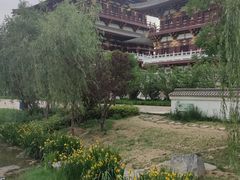 -洛阳白马寺