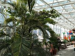 -盛彼得温泉度假酒店