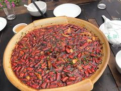 -青城甲(青城山店)