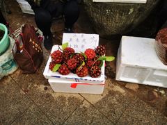 -长兴慧子土特产茶行