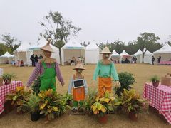 -上海长兴岛郊野公园