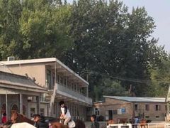 -月河湾马术俱乐部(朝阳店)