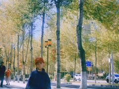 -长春世界雕塑园冰雪艺术天地