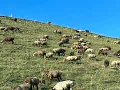 -新疆那拉提国家旅游度假区