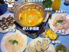 -千岛蚝高压锅生蚝·人参火锅(白云万达店)