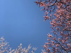 -吉林大学(南岭校区)