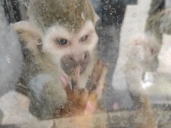 -石家庄市动物园