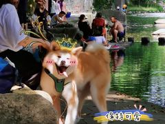 -鹿亭中村
