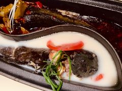 退秋鱼（一条）-锦府盐帮·李宅(领展购物广场中关村店)