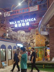-卡通尼·Safari非洲探索乐园·生日会(金桥国际商业广场店)