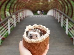 -南翔镇银翔湖公园