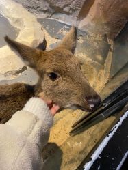 -酷嗒动物文化乐园(cutezoo西溪乐天城店)