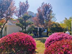 -新虹桥中心花园