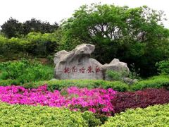 -泰山风景名胜区