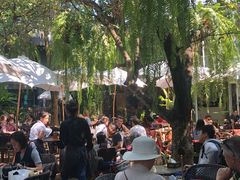 -Fern Forest Cafe