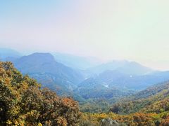 -白草畔自然风景区