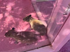 -渔岛海洋度假区