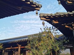-广富林郊野公园