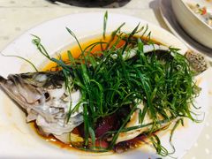 -老东风菜馆·潮汕大排档