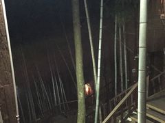 -祁门牯牛降观音堂风景区