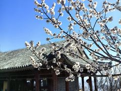 -香山公园