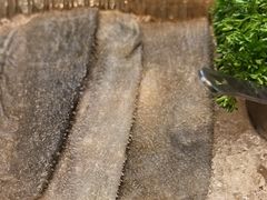 -大妙火锅·非物质文化遗产(东湖公园店)