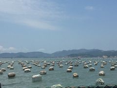 -大京沙滩