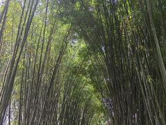 -成都杜甫草堂博物馆