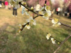 -蜀冈西峰生态公园