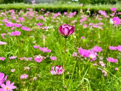 -汉景帝阳陵博物院