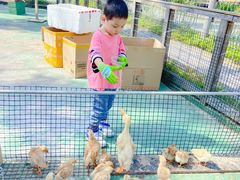 -前小桔亲子创意农场·草莓采摘·露营烧烤
