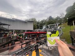 -圣淘沙天际线斜坡滑车