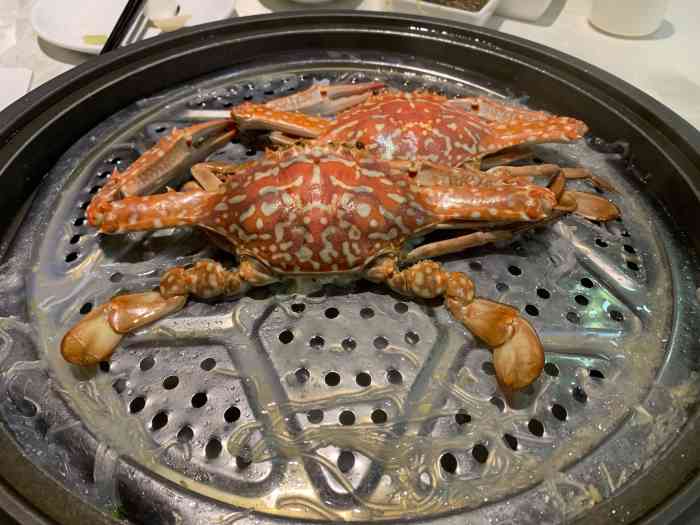 越百海海鲜蒸锅(海湾店)-"有朋自远方来,当然吃海鲜,湛江虽然是个三.