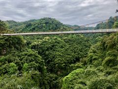 -川西竹海景区