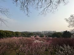 -无锡梅园公园