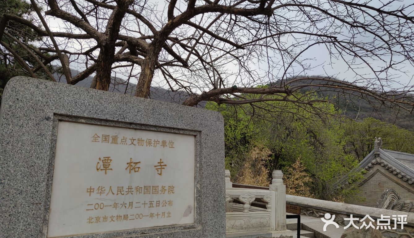 60岁以上的叔叔阿姨免票，我是在大众点评上预约的