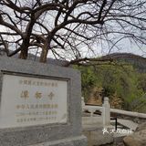 60岁以上的叔叔阿姨免票，我是在大众点评上预约的