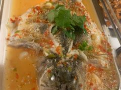 招牌柠檬鱼-佬肥猫(国华广场店)