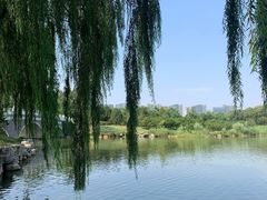 -大兴滨河森林公园