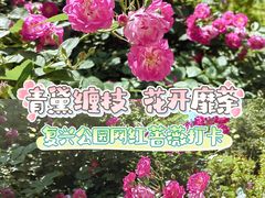 -睦南公园