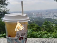 -茶颜悦色(岳麓山顶店)