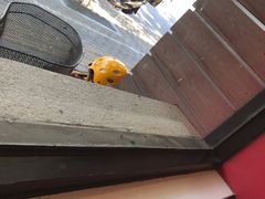 -永和大王(小厨·东四十条店)