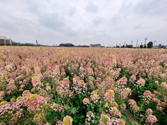 -中国天府农业博览园